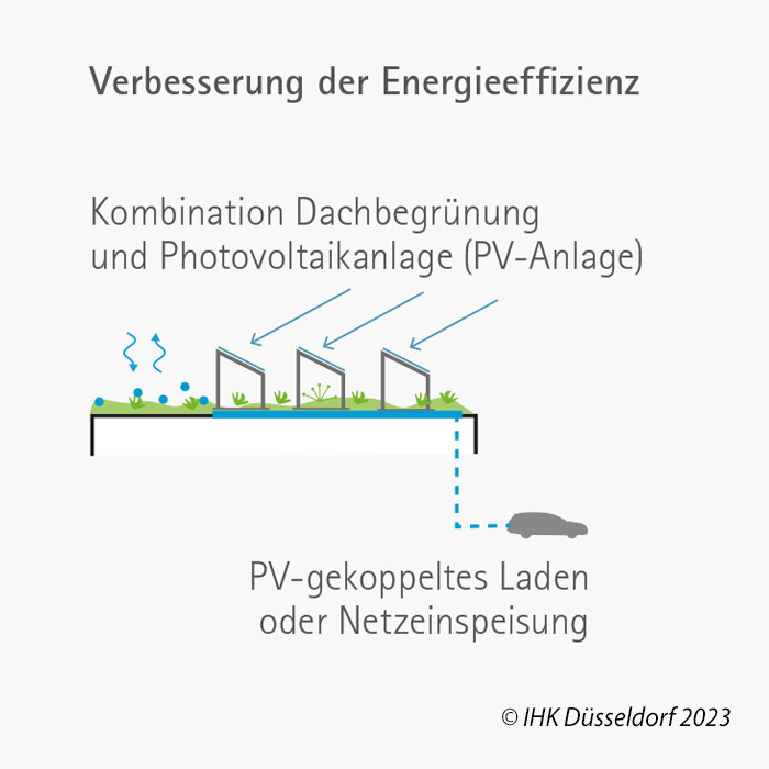 Energieeffizienz: Photovoltaik und Dachbegrünung