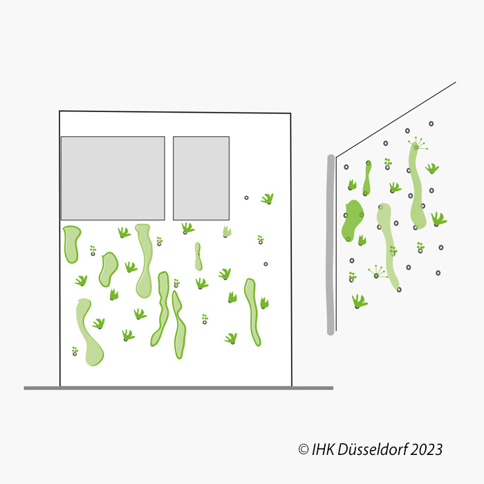 Fassadenbegrünung flächiges System