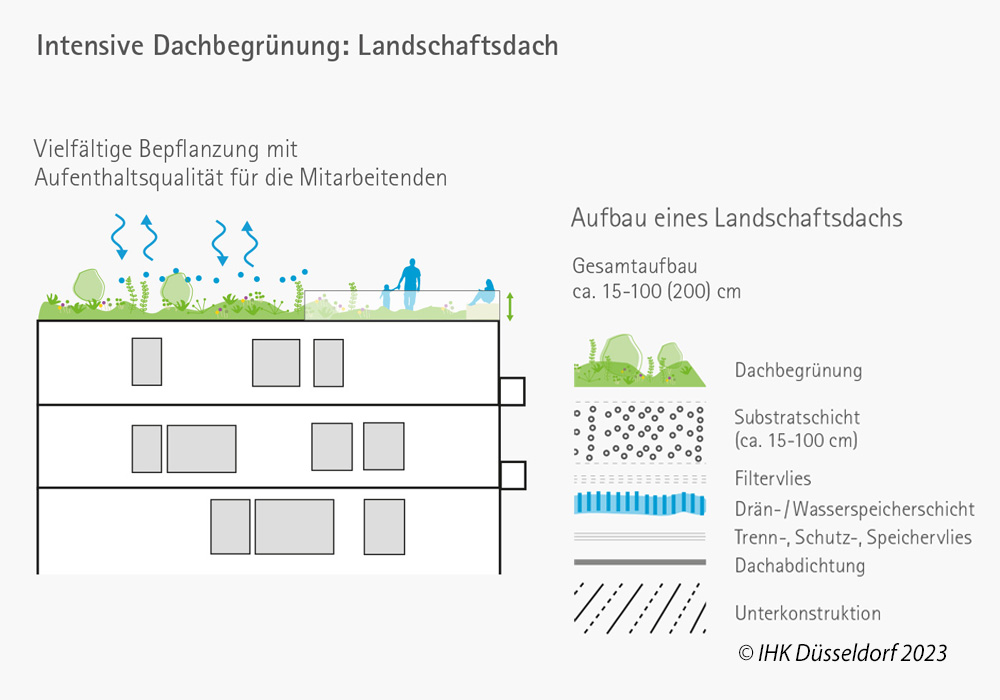 Intensive Dachbegrünung - Landschaftsdach