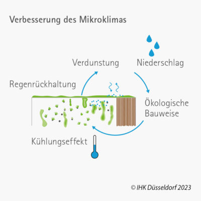 Verbesserung des Mikroklimas in der Stadt