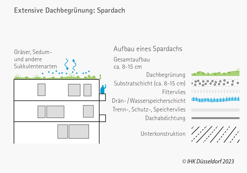Extensive Dachbegrünung