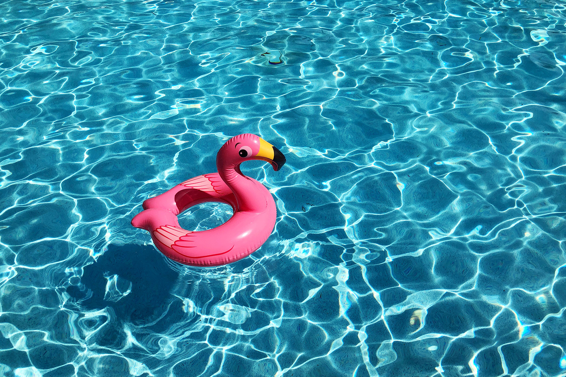 Info -Abende Sommerpause Haus und Grund